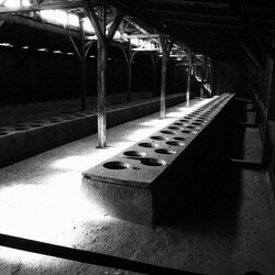 táborové táborové